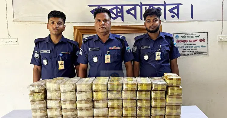 মুরগির খামার থেকে ৫ লাখ পিস ইয়াবা উদ্ধার