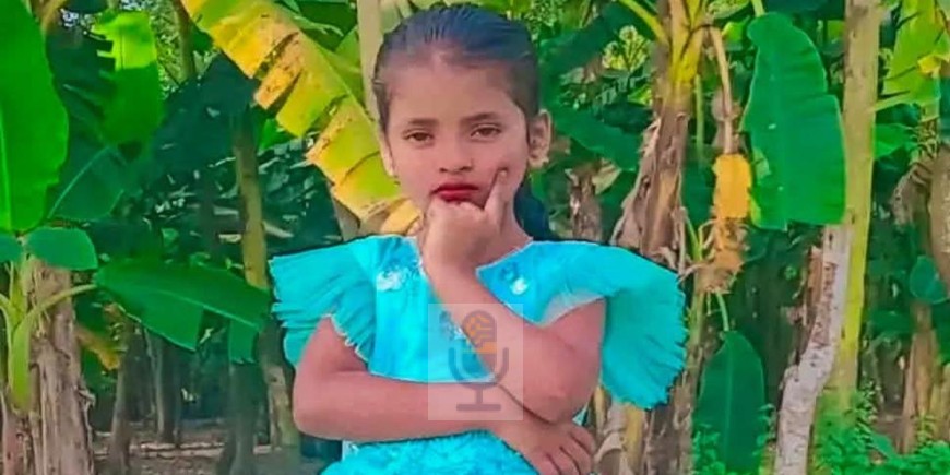 নিখোঁজ শিশুর লাশ মিলল ভুট্টা খেতে, গণপিটুনিতে নিহত ২