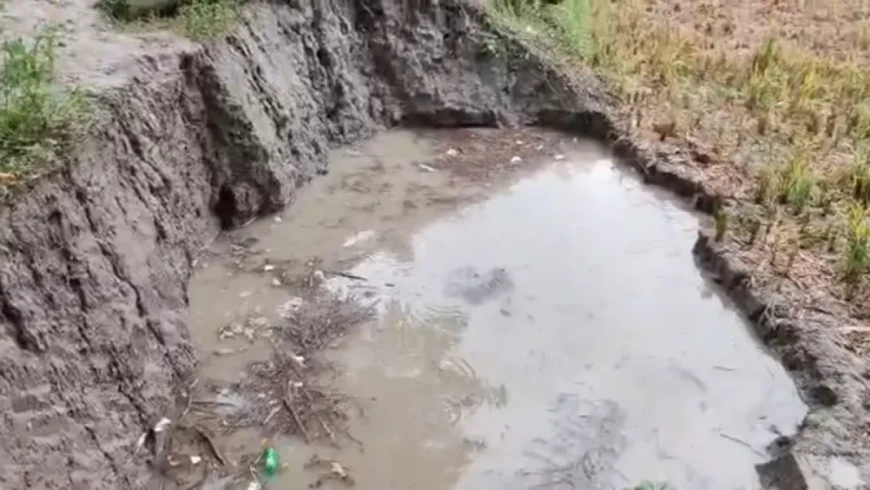 নোয়াখালীতে পানিতে ডুবে ২ দিনে ৪ শিশুর মৃত্যু